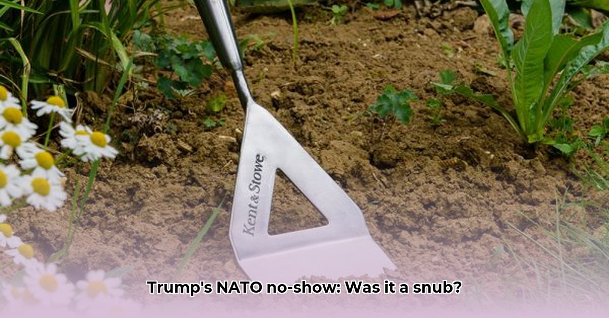 hoe-laat-komt-trump-aan